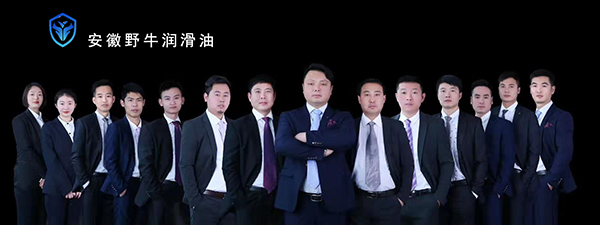 2019韋爾斯潤滑油家人答謝會，安徽野牛潤滑油為您喝彩